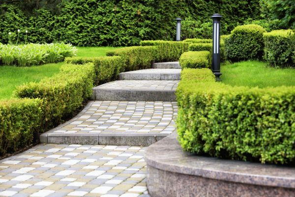 Backyard Remodeling in Fremont