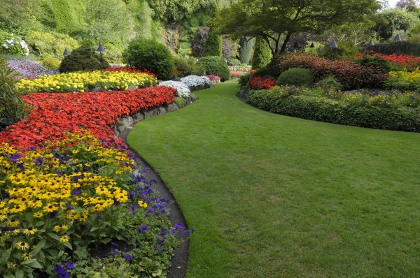 Landscaping Maintenance in Fremont