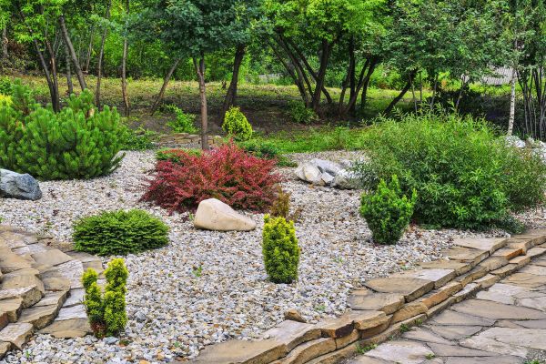 Rock Landscaping in Fremont