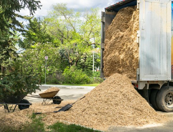 Wood Chips Delivery in Fremont