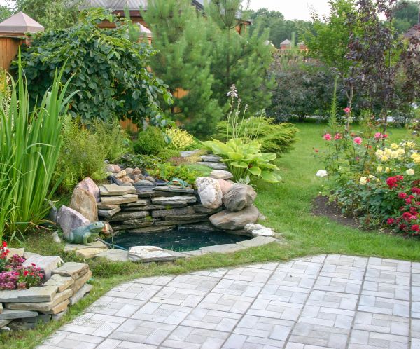 Yard Renovation in Fremont