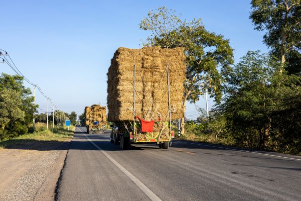 Pine Straw Delivery in Fremont