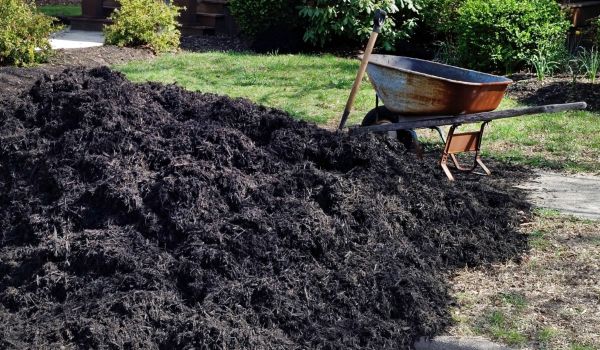 Black Mulch Delivery in Fremont