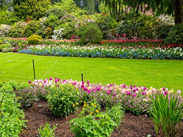 Residential Landscape Design in Fremont