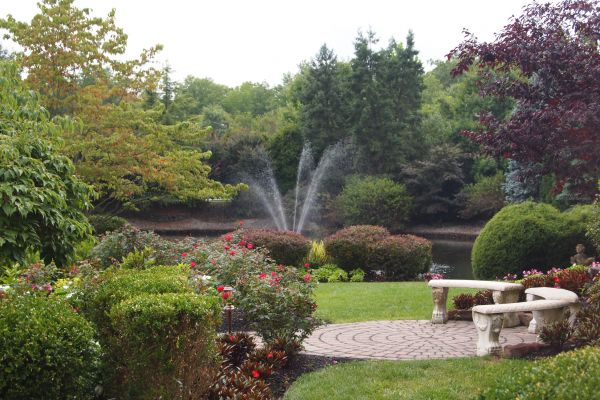 Courtyard Design Service in Fremont