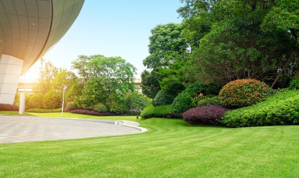 Business Landscape Design in Fremont