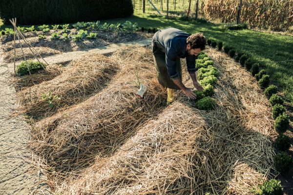 Straw Mulching Service in Fremont