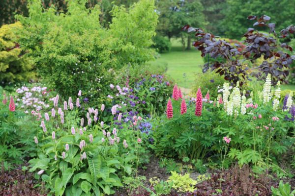 Flower Bed Planting Service