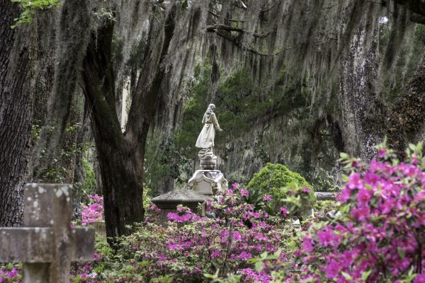 Cemetery Landscaping in Fremont