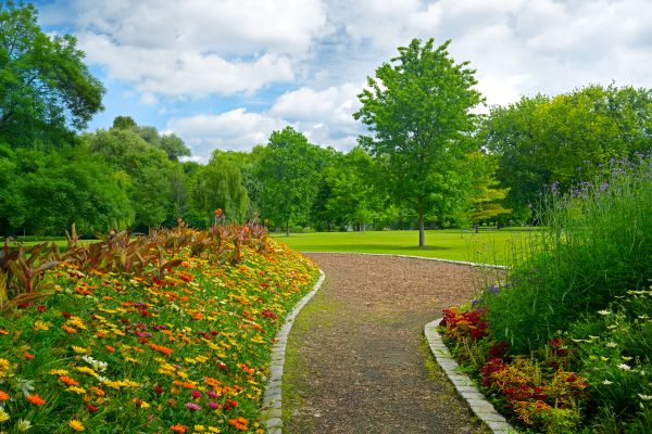 Park Landscaping in Fremont