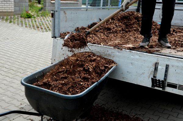 Cypress Mulch Delivery in Fremont