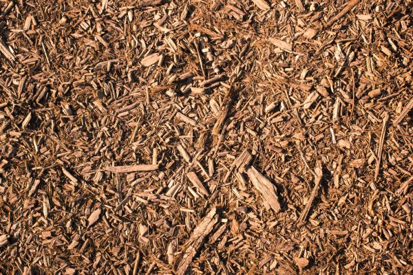 Wood Chips Removal in Fremont