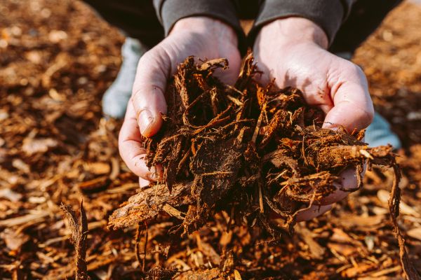Bark Chips Delivery in Fremont