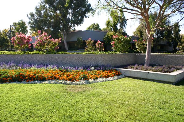 Commercial Landscape Service in Fremont
