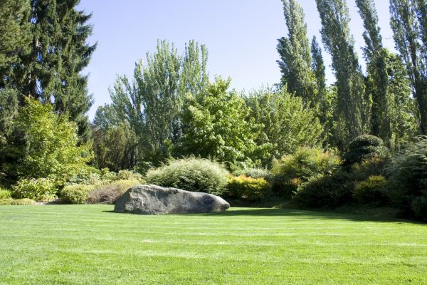 Yard Enlargement in Fremont