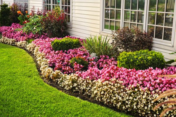Garden Landscape Design in Fremont