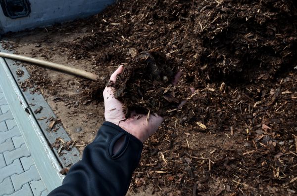 Condo Mulching in Fremont