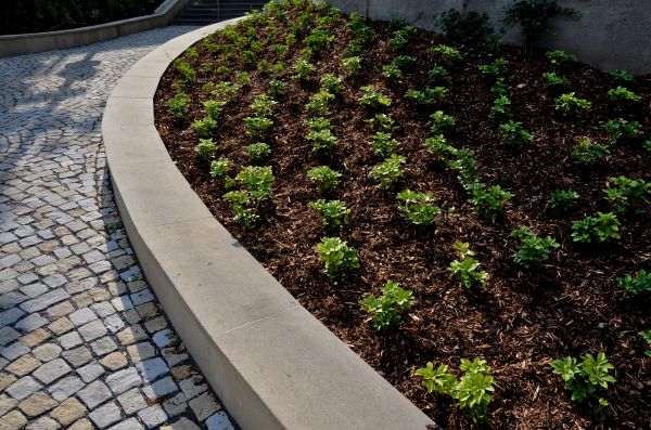 Commercial Mulching in Fremont